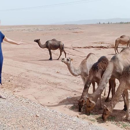 Riad De Reve Zagora Dış mekan fotoğraf