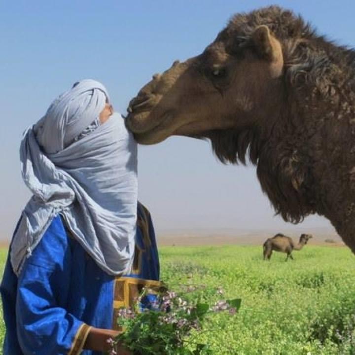 Riad De Reve Zagora Dış mekan fotoğraf